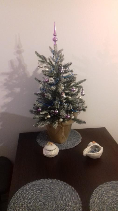 Karmazynowy Apartament Nad Morzem Apartment โควอบเซก ภายนอก รูปภาพ